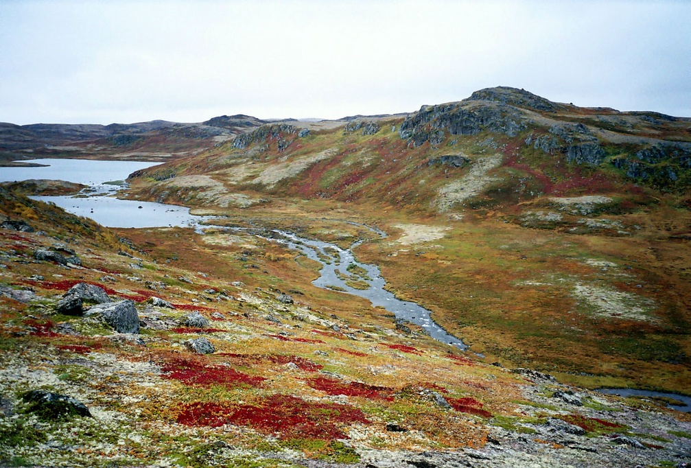 Tundra2004mini1.jpg